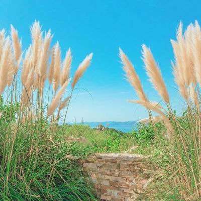 天博tb·综合体育