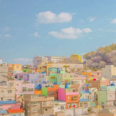 BET体育365投注官网手机app下载