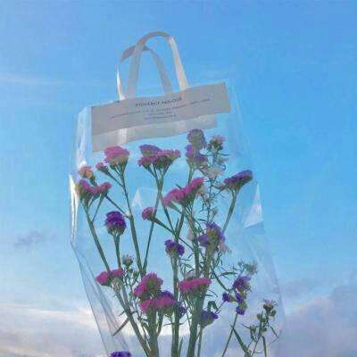 凤凰彩票进入网址